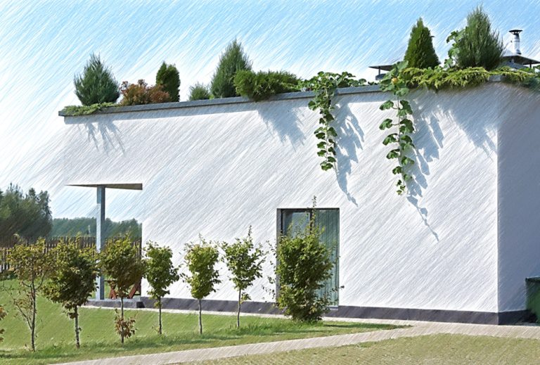 Tetti verdi: risparmia e salva il pianeta