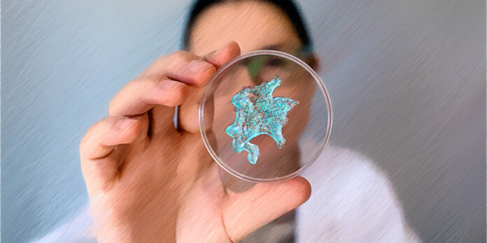 Inquinamento microplastiche
