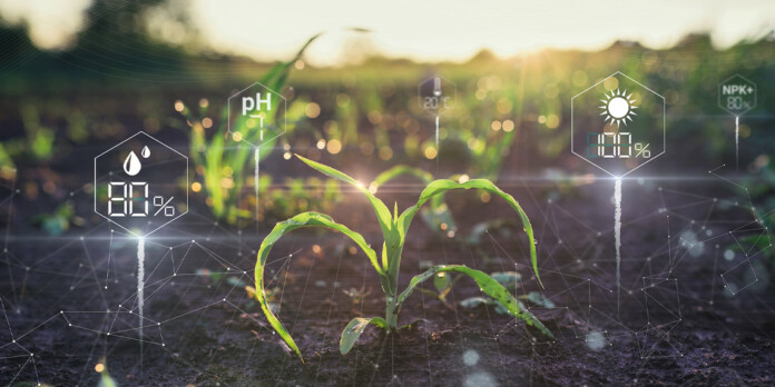 Agricoltura Intelligenza Artificiale