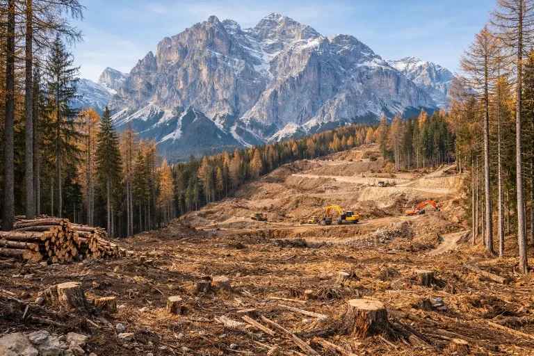 Abbattimento alberi a Cortina per le Olimpiadi 2026: quanti sono, compensazioni promesse e impatto ambientale reale