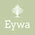 Team Eywa