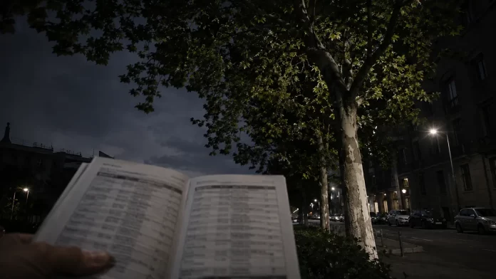 Albero urbano in città con documento comunale in primo piano, sorveglianza preventiva verde pubblico