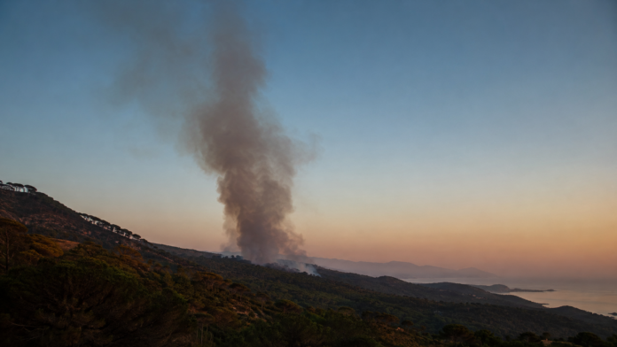 Collina mediterranea di pini con colonna di fumo durante un incendio boschivo estivo, cielo carico all'imbrunire.