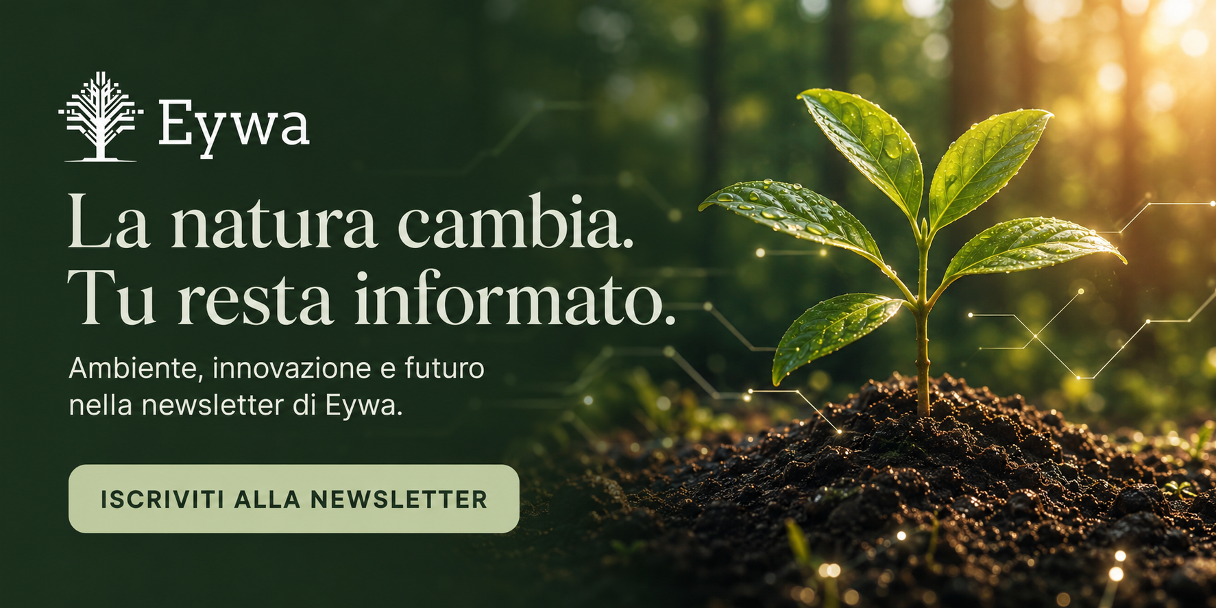 Iscriviti alla Newsletter di Eywa