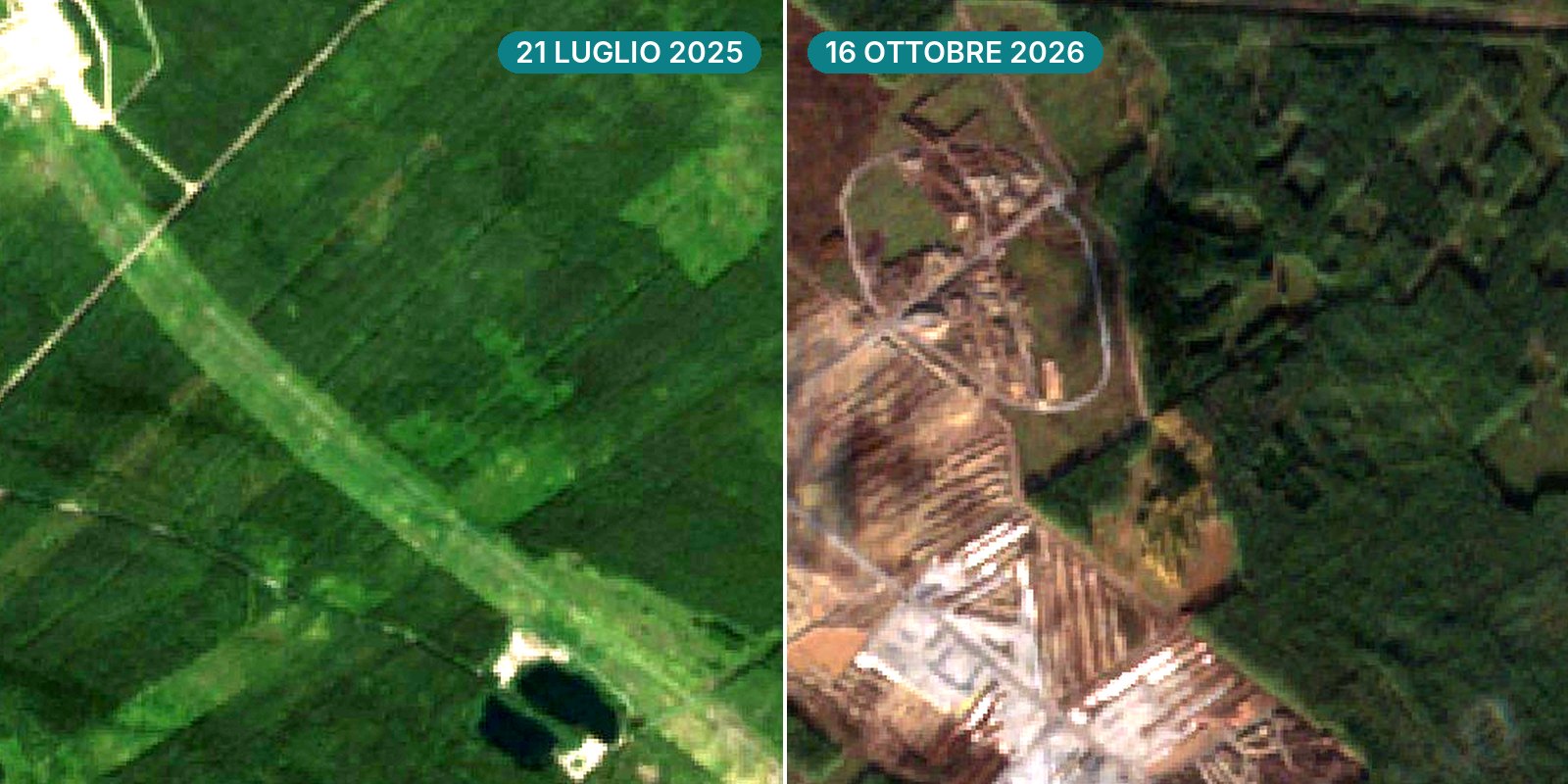 Immagine satellitare divisa a metà dello stesso tratto di bosco a Muhos, in Finlandia: a sinistra verde il 21 luglio 2025, a destra terra scoperta e strade di cantiere il 16 ottobre 2026