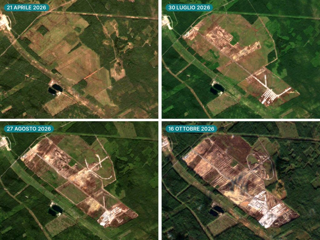 Quattro immagini satellitari dello stesso punto di Muhos fra aprile e ottobre 2026: l’area scoperta nel bosco si allarga di data in data