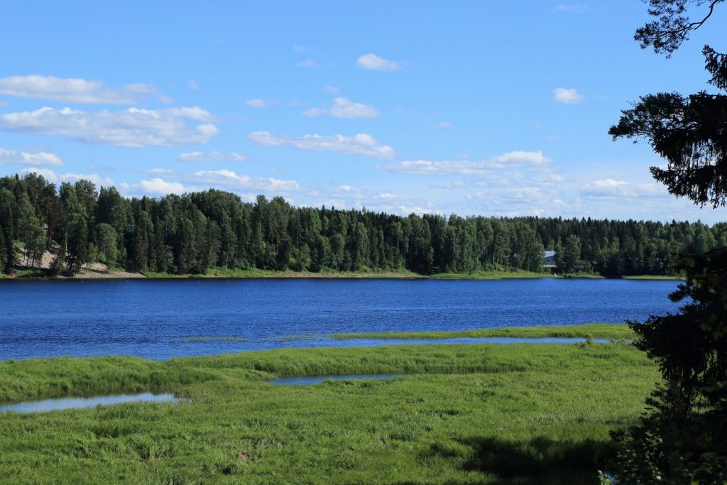 Il fiume Oulujoki a Muhos d’estate, largo e blu, con una riva erbosa in primo piano e il bosco sulla sponda opposta